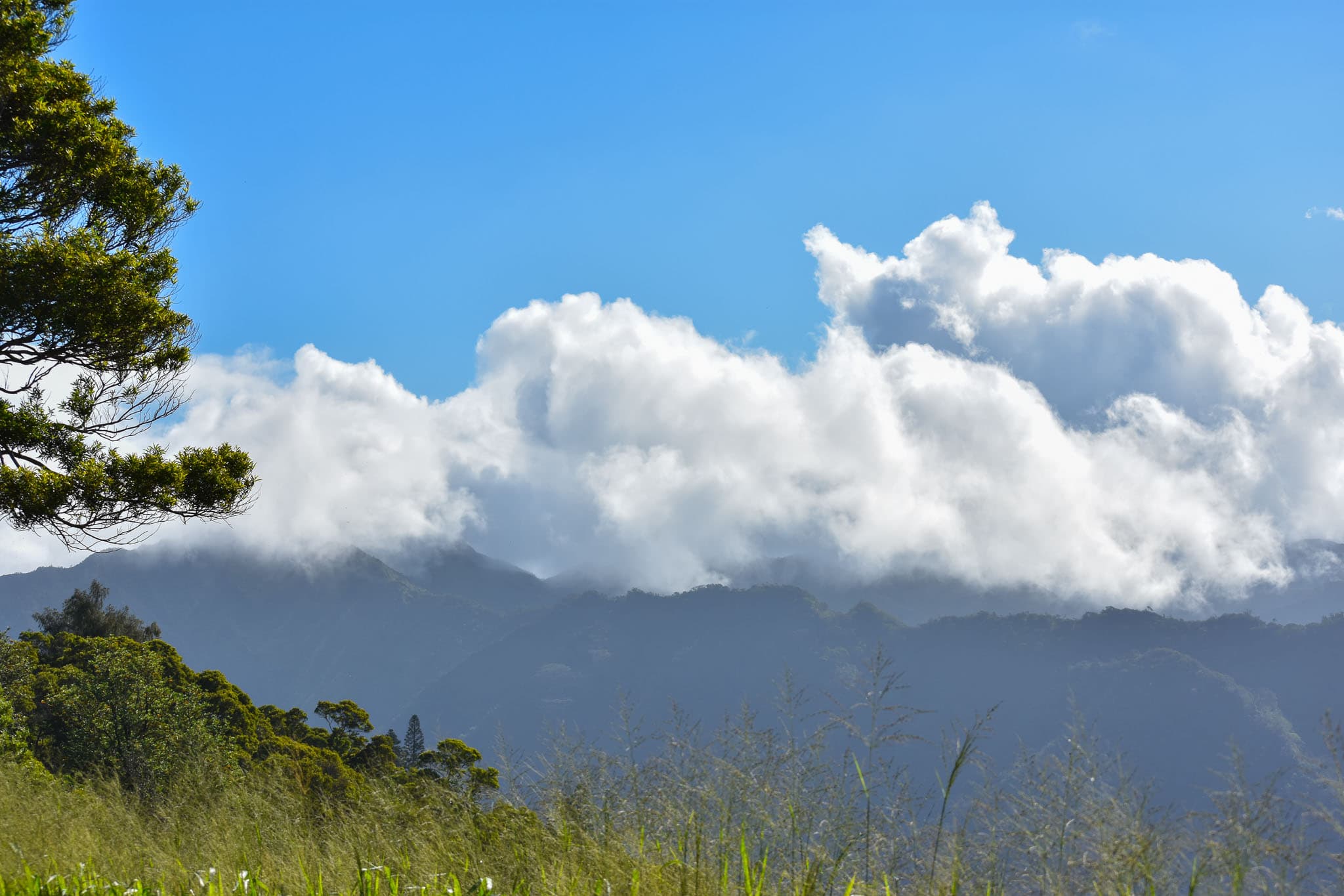 oahu