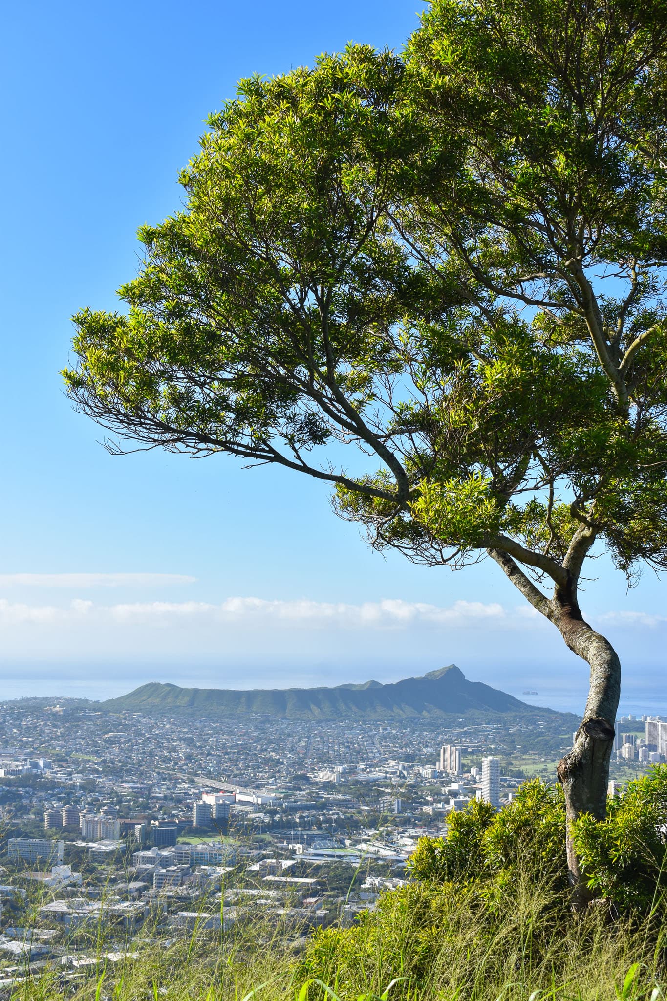oahu